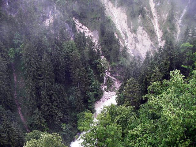 SANY2431.jpg