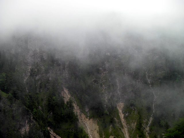 SANY2432.jpg