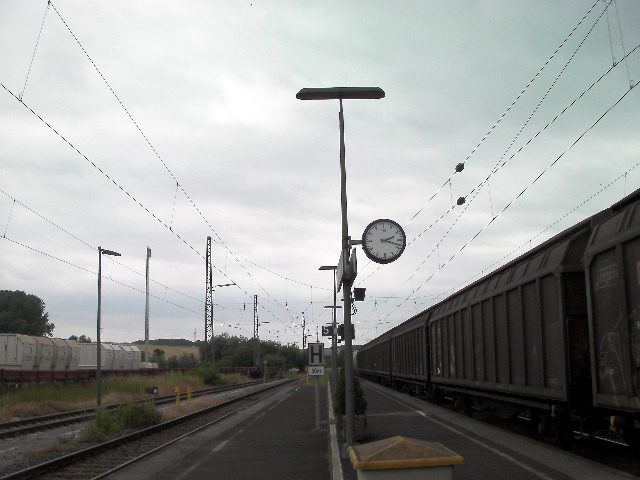 SANY2442.jpg