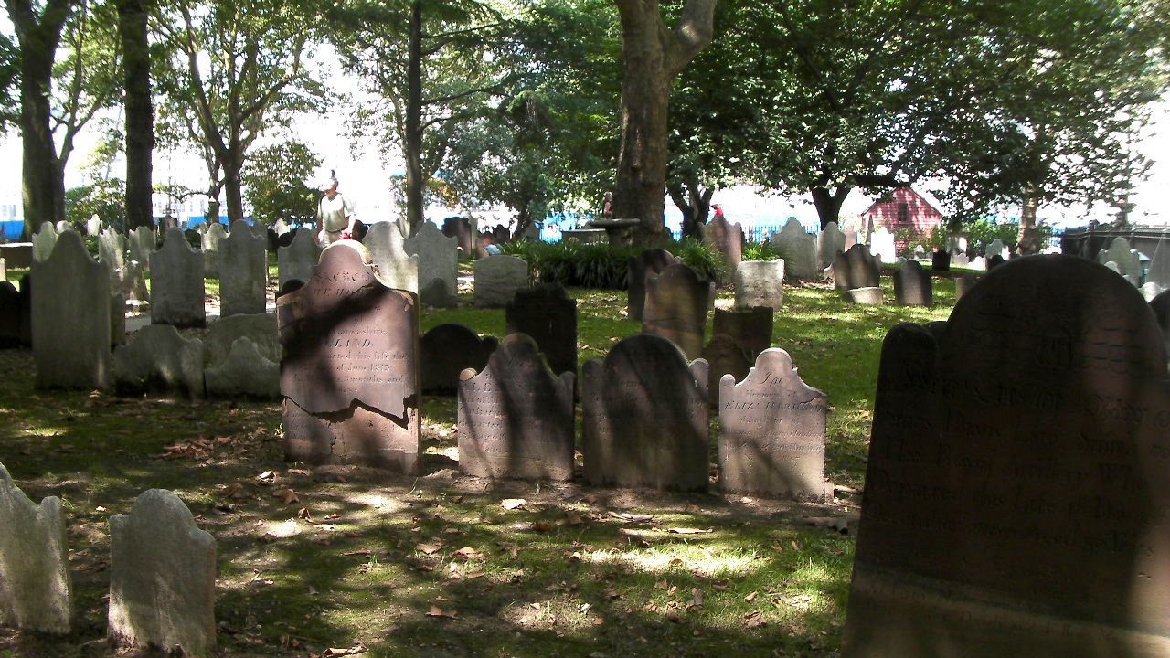 SANY3460.jpg